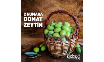 Ham zeytin nereden alabilirim?
