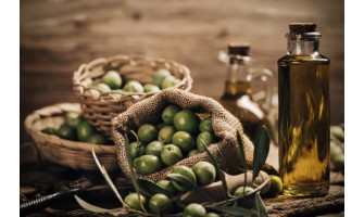 Ham Zeytin Fiyatı