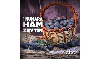 Ham Zeytin